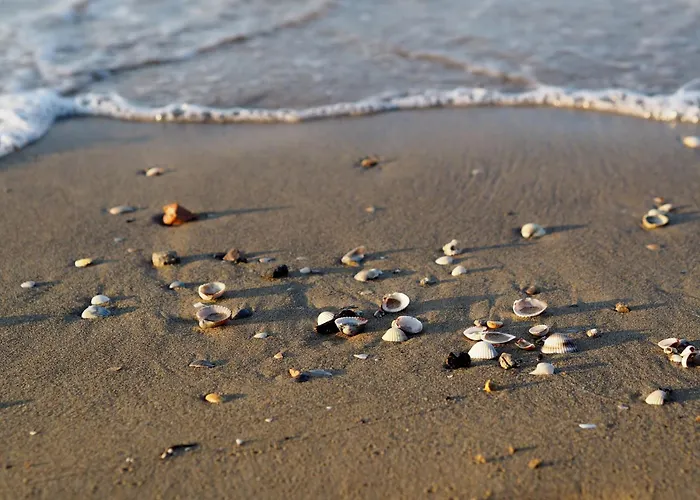 Appartement Spacious Flat With Sea View Terrace - Beahost *